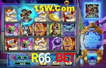 Segurança e performance na plataforma R66 Bet